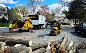 Best Tree Risk Assessment  in Walnut, CA